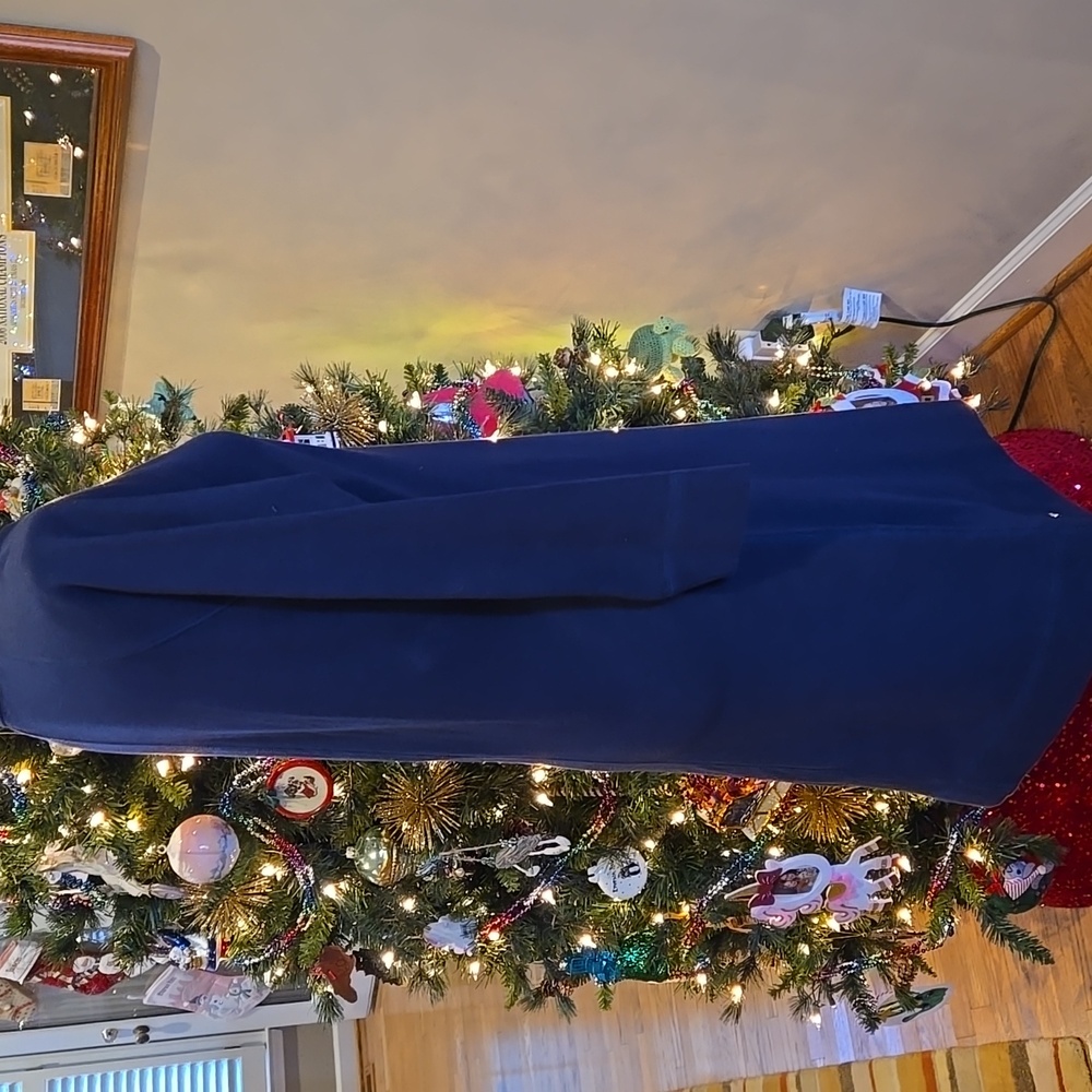 Lilly Pulitzer Navy Dress - Picture 6 of 11